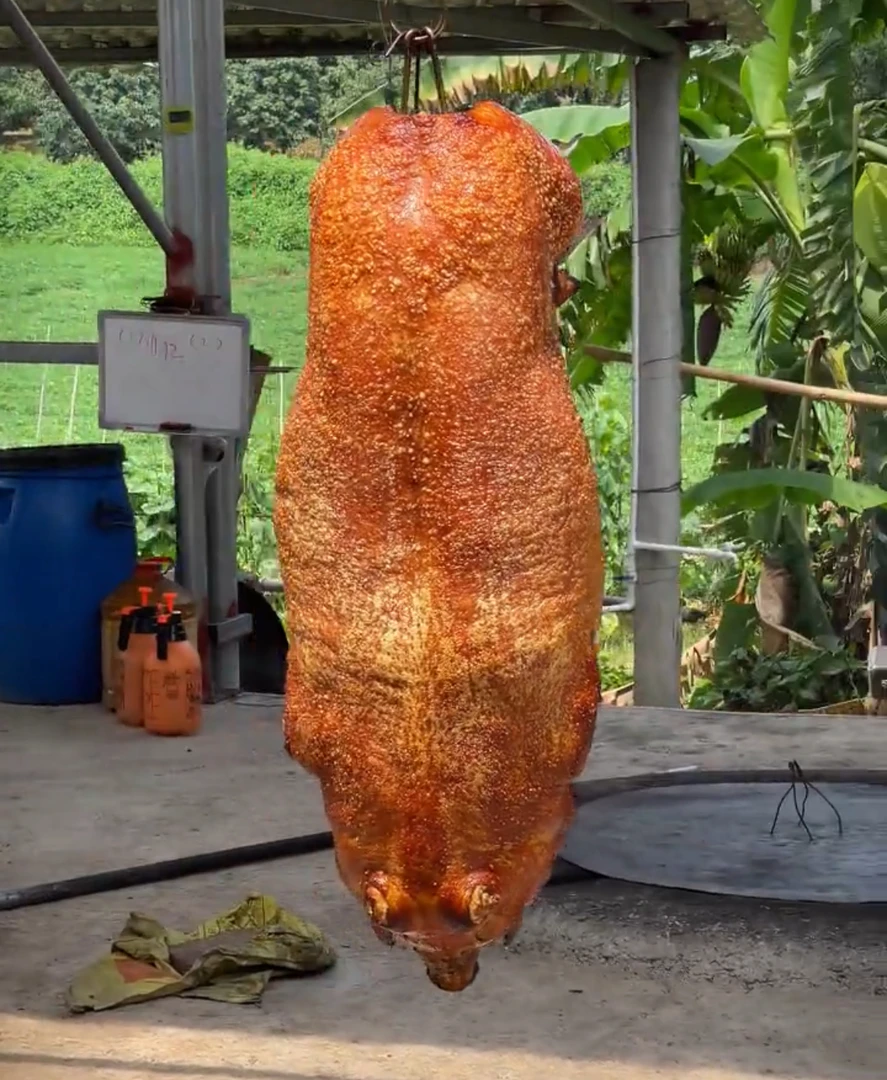 半只/一只更优惠（直播间现称改价）广西农村土猪土烧猪