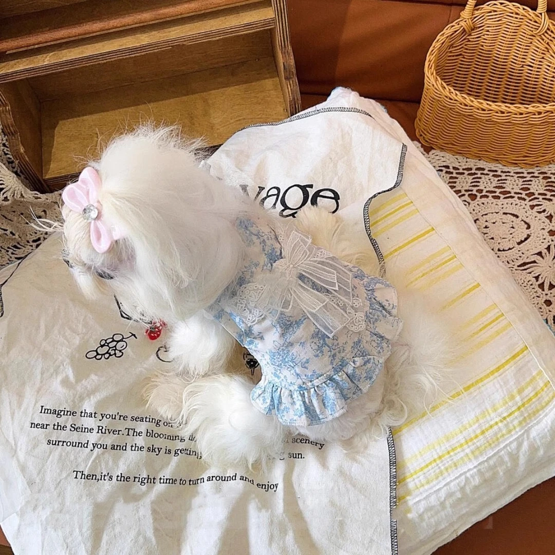 宠物狗狗夏季复古蝴蝶结吊带裙泰迪约克夏比熊西高地博美猫咪衣服