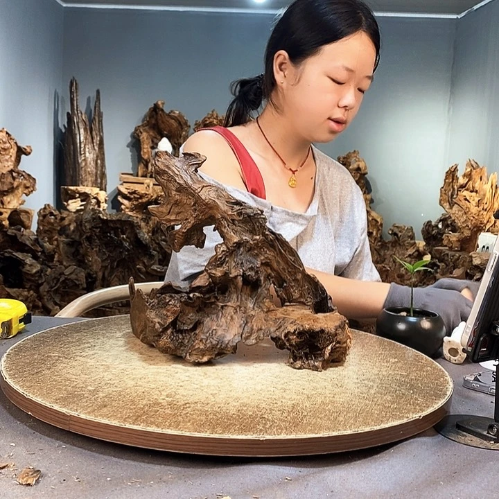 全***厂株木随行的小根艺636株木随行的小根艺