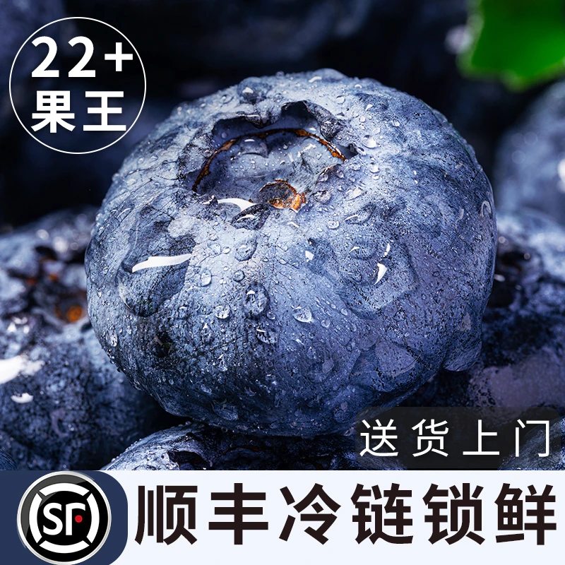 顺丰空运云南高山蓝莓中大果新鲜应季水果现摘精选脆甜25花香蓝莓