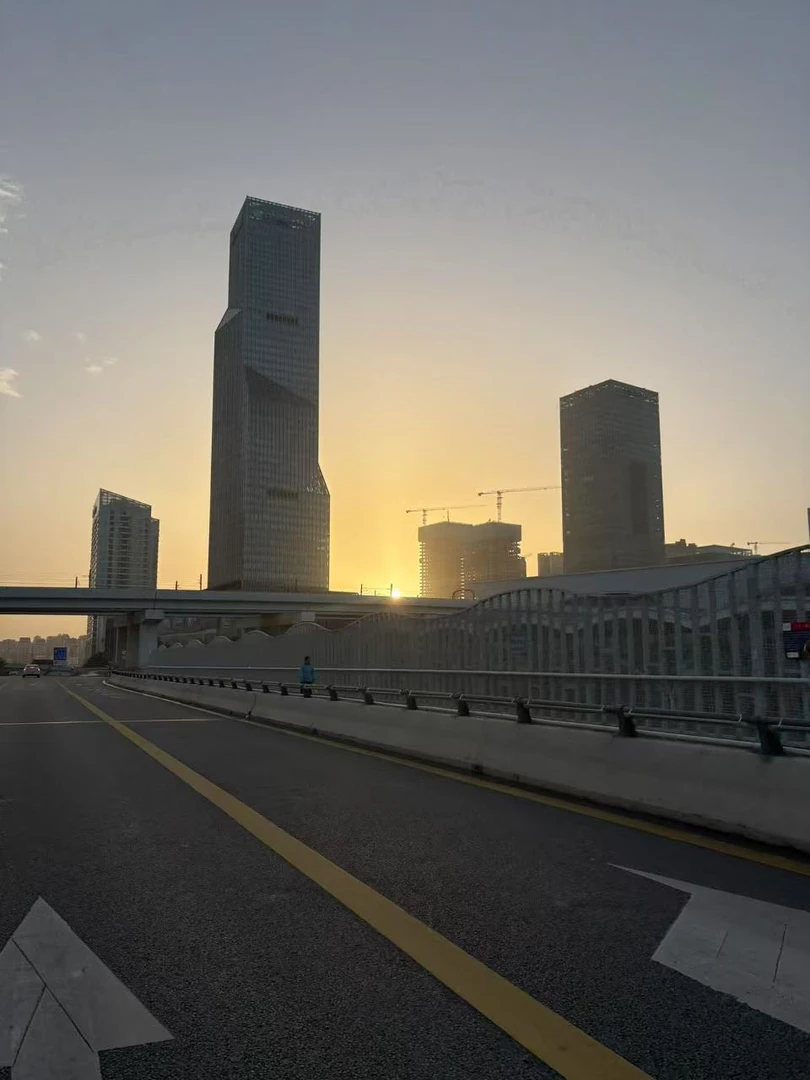 全新现货款思思轻奢时尚百搭手提包A05