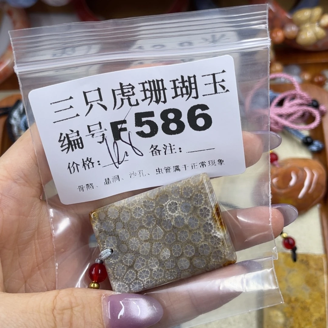 ℒ****未镶嵌h硅化珊瑚（珊瑚玉）