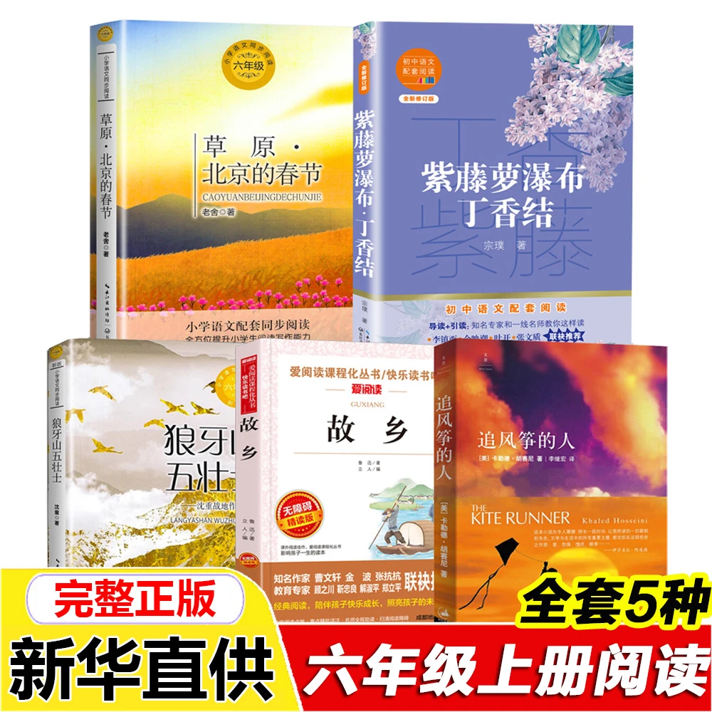 六年级上册阅读追风筝的人草原北京的春节狼牙山五壮士故乡鲁迅著