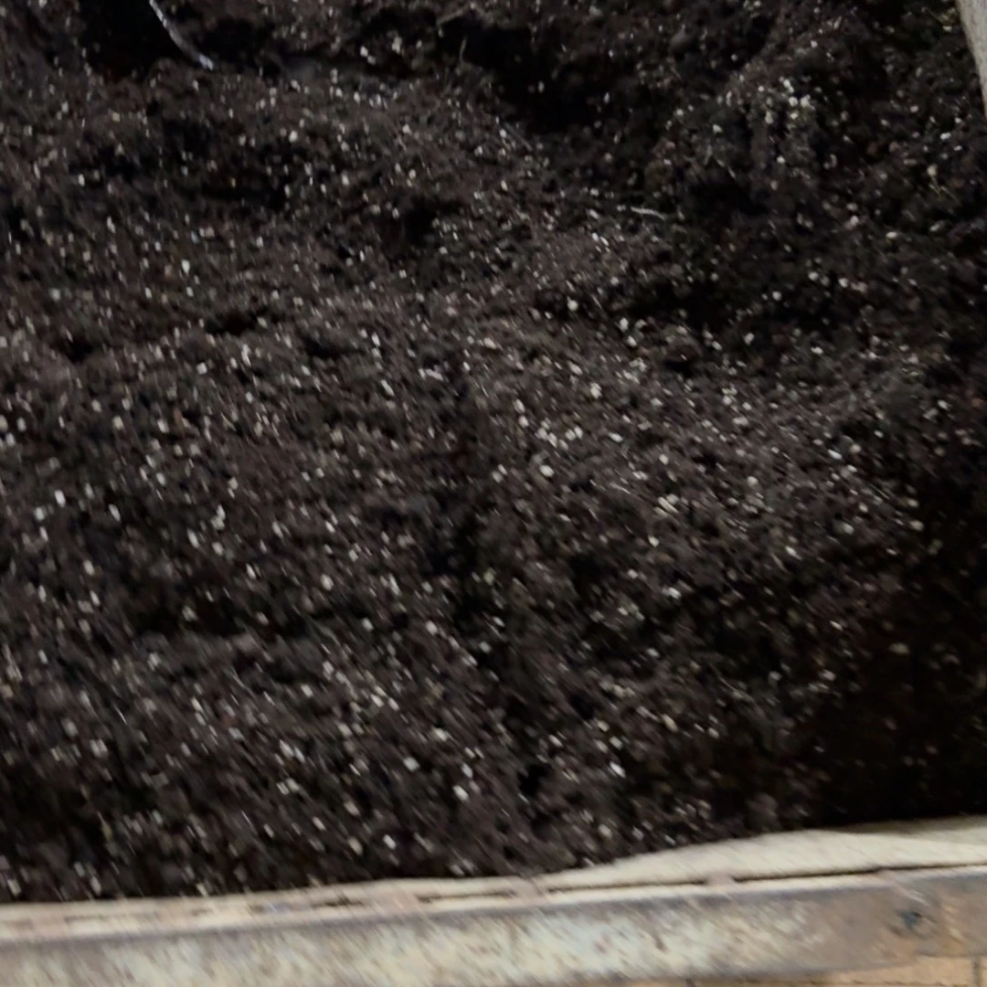 发土的链接多肉植物