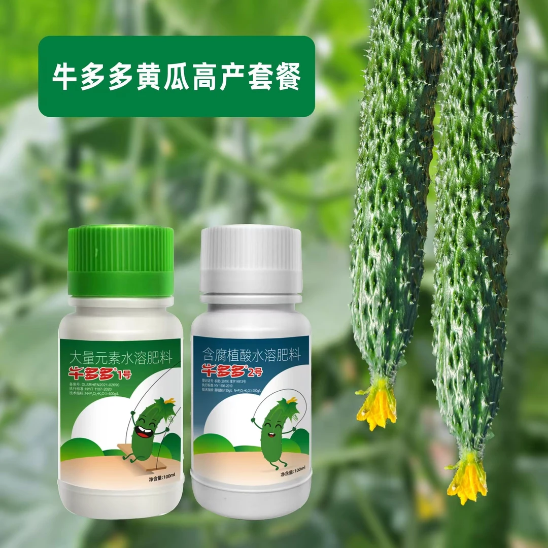 牛多多黄瓜高产套餐促花芽分化叶片浓绿茎秆粗壮瓜条顺直官方正品