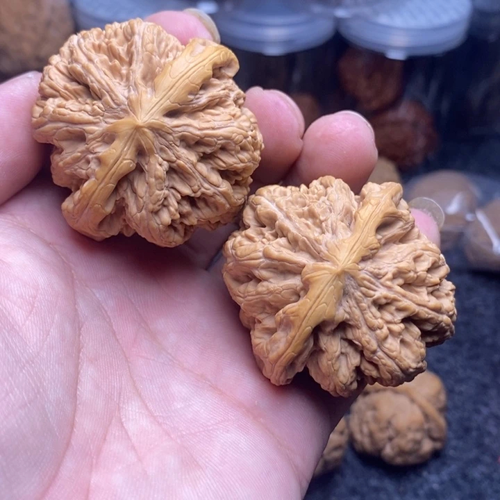 文玩核桃吊坠46大粗筋