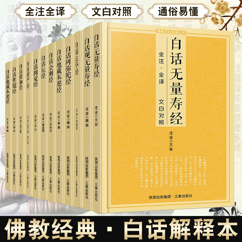 [佛教经典]白话楞严经 通俗易懂 全注全译佛教入门白话文讲解书籍