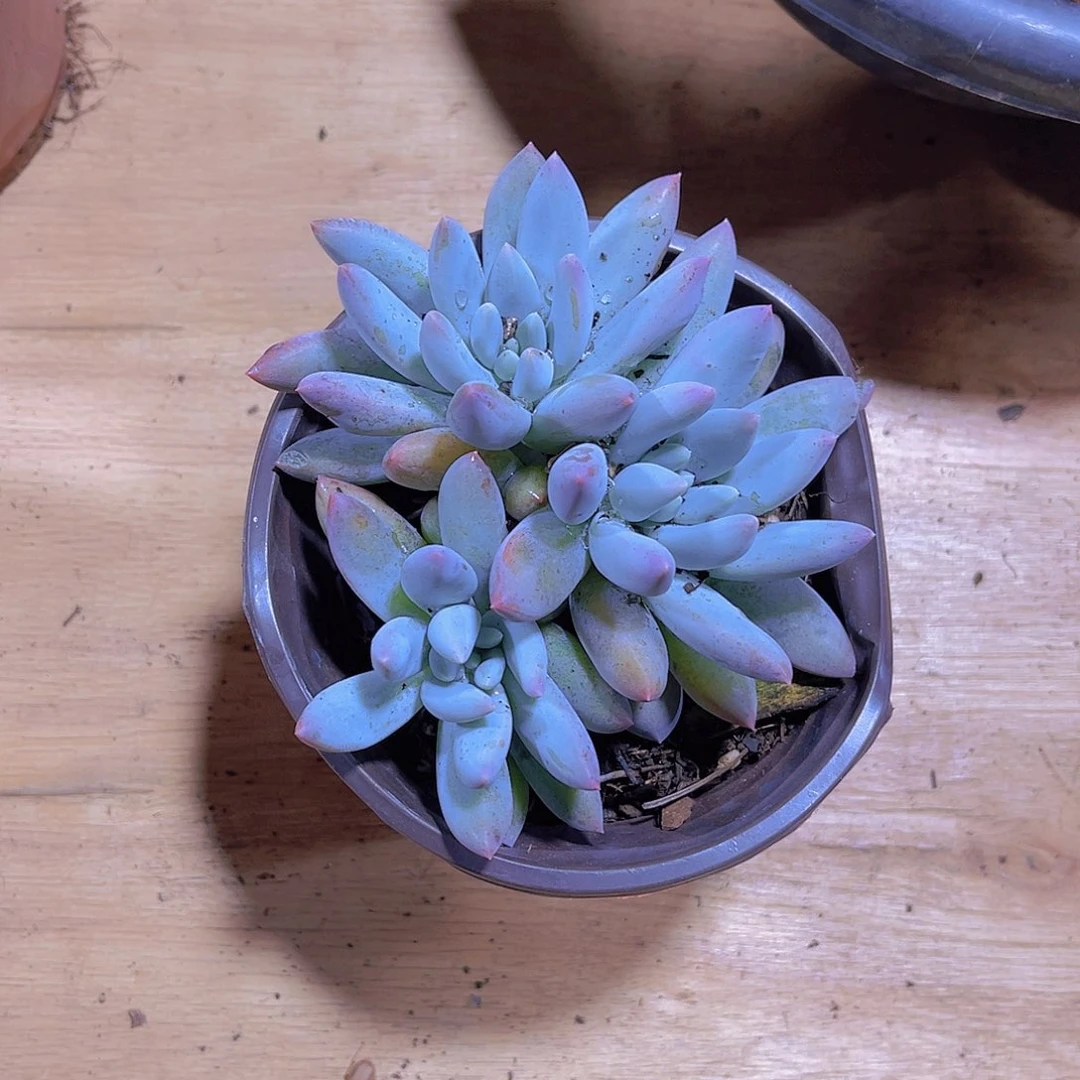 最***柔000000000000140