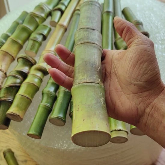 南***方发发发发发发发发发发发发