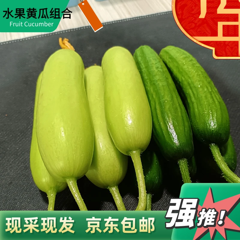 水果黄瓜组合基地现栽现发净重3斤（青皮乳瓜约2斤+白玉乳瓜1斤）
