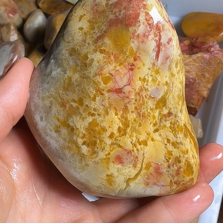 寿山石寿山石的颜色