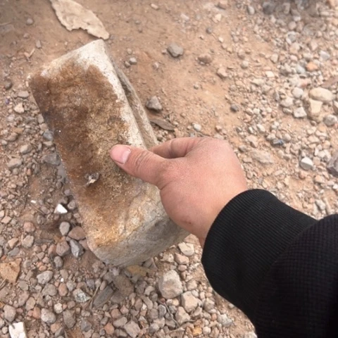 核桃木/黑胡桃（胡桃木）钟*