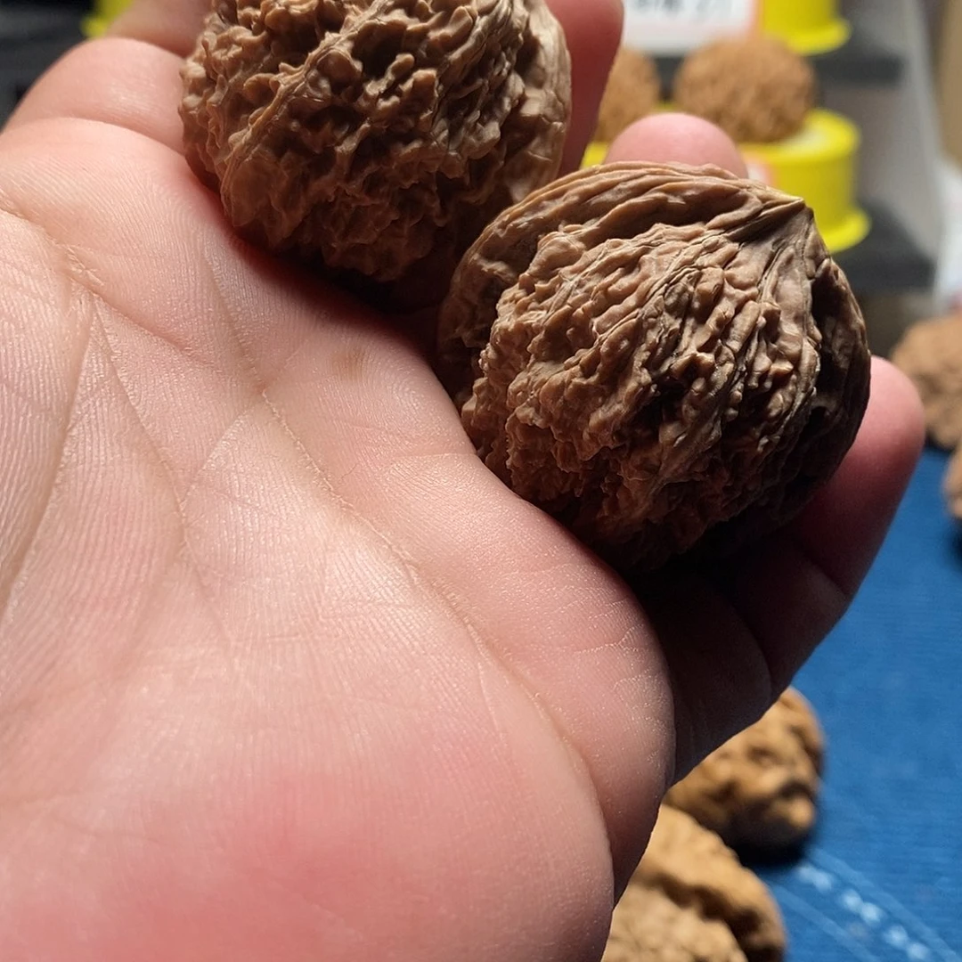 文玩核桃吊坠M****g137狮子头全品