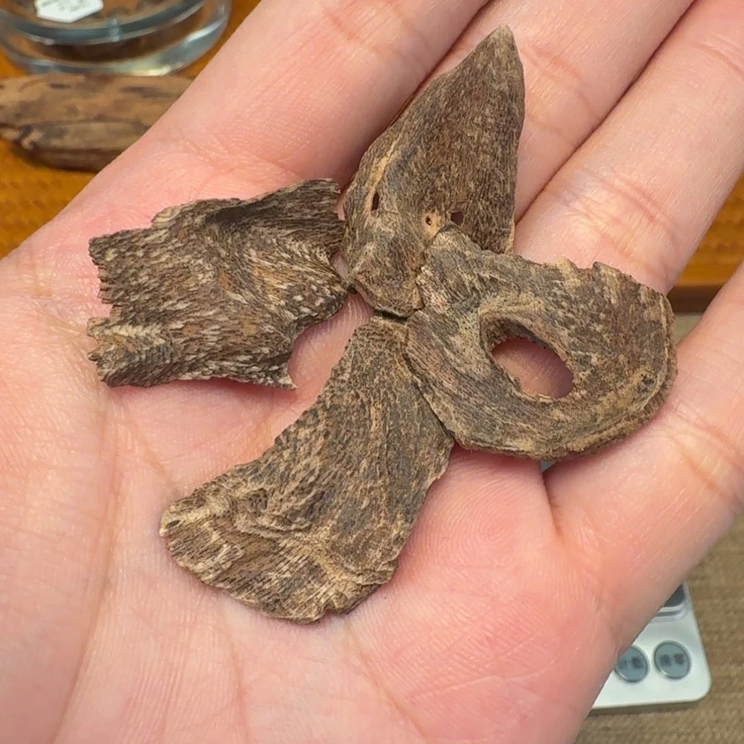 沉香香港沉水壳子