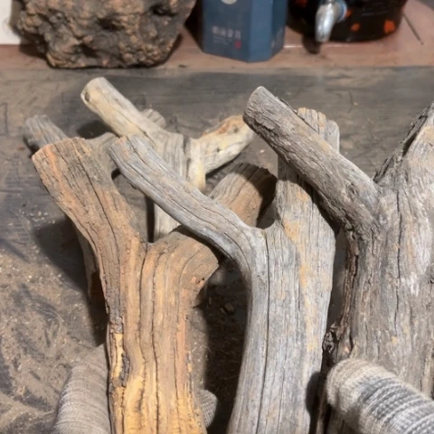 大果紫檀（缅甸花梨）小*蚁