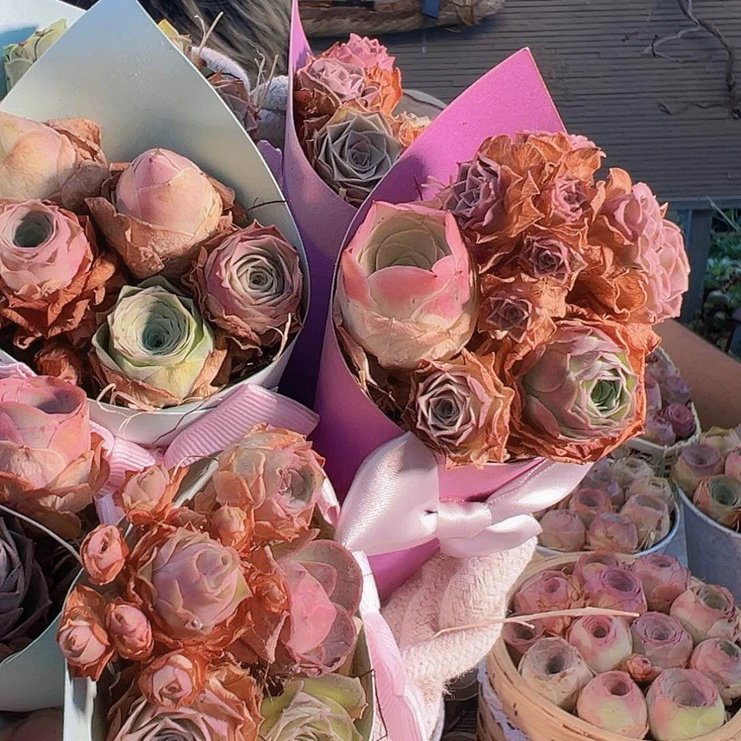 山地玫瑰花束，5颗  TT034  量拍一束