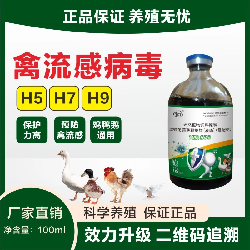 【高抗579】H5H7H9孕畜可用金银花提取兽用饲料添加剂应对混感