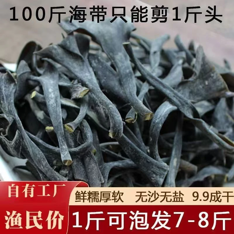 福建霞浦日晒海带头干货厚实软糯海带根特厚海带梗新货海带丝头蒂
