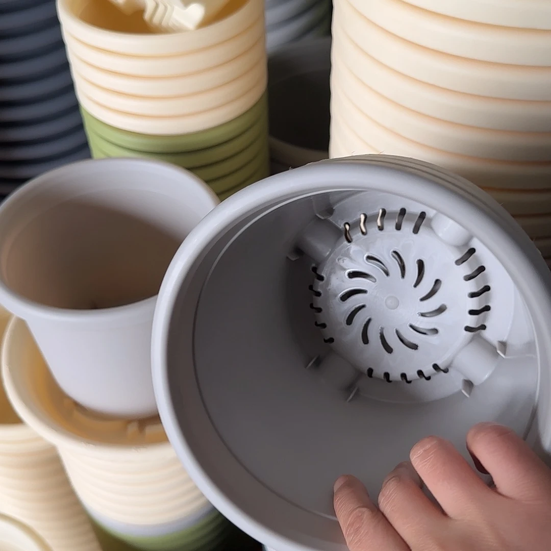 树脂四季2号无托12个灰白微瑕