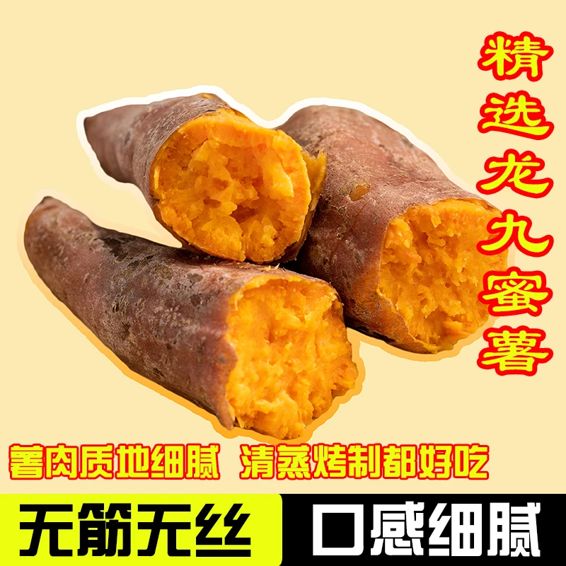龙九蜜薯黄心沙地批发整箱蜜薯新鲜龙九蜜薯现挖