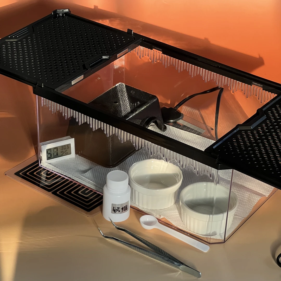 守宫饲养套装含双开磁吸滑盖饲养盒加热垫水盆食盆钙维新手十件套