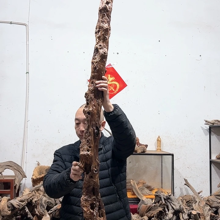 柏木张*三我们的生活也是如此的