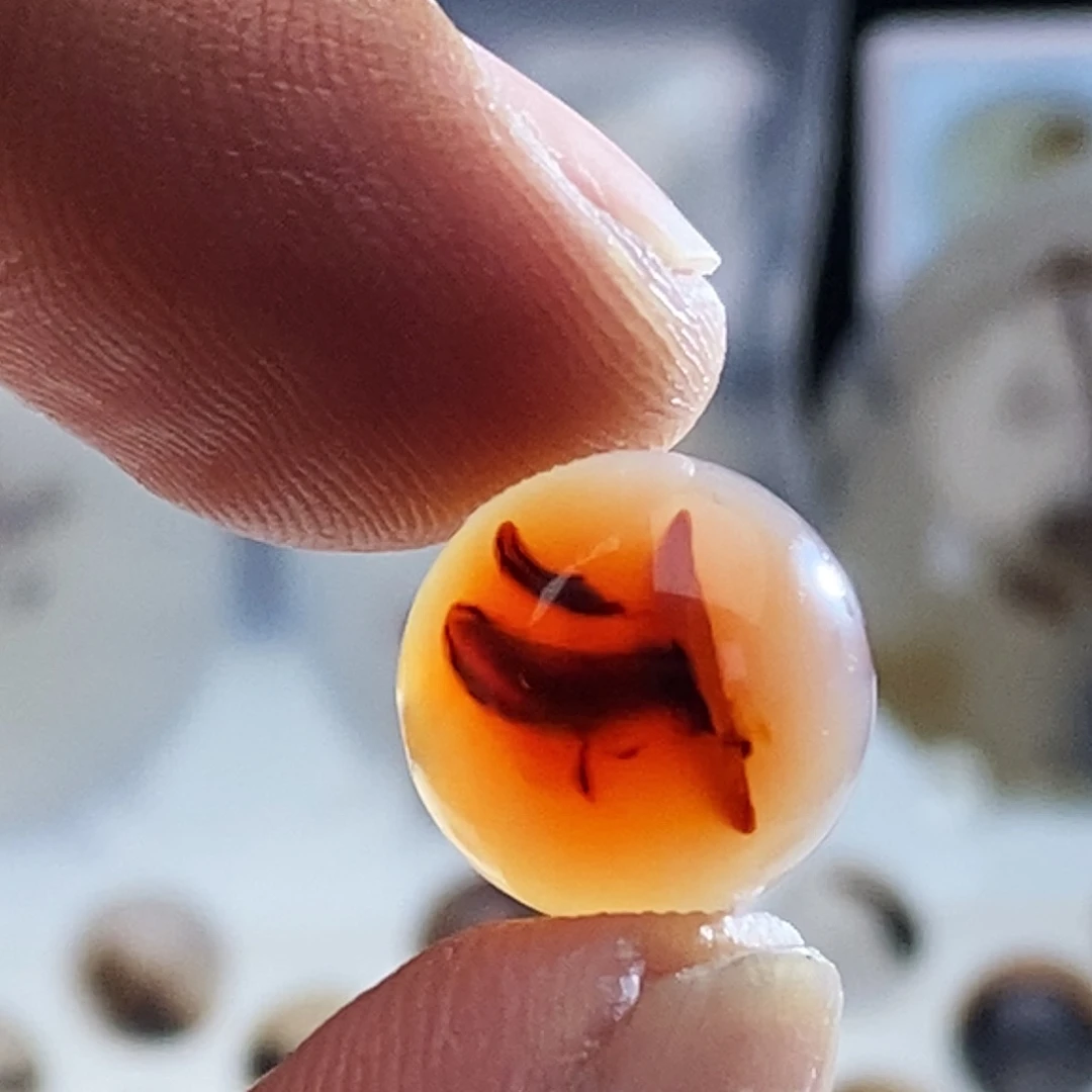 燕***舞玛瑙/玉髓未镶嵌吊坠(不含链)