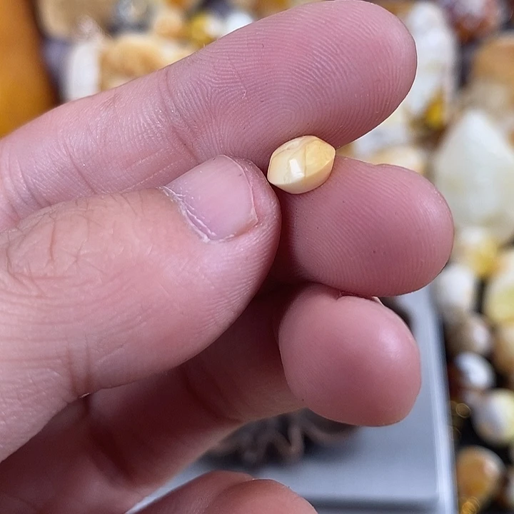 琥珀未镶嵌珠宝奇石我