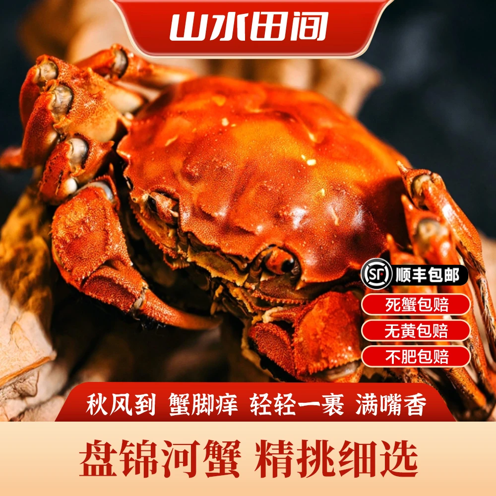 【活蟹】盘锦河蟹母蟹 单只0.8-1.2两 到手2.5斤