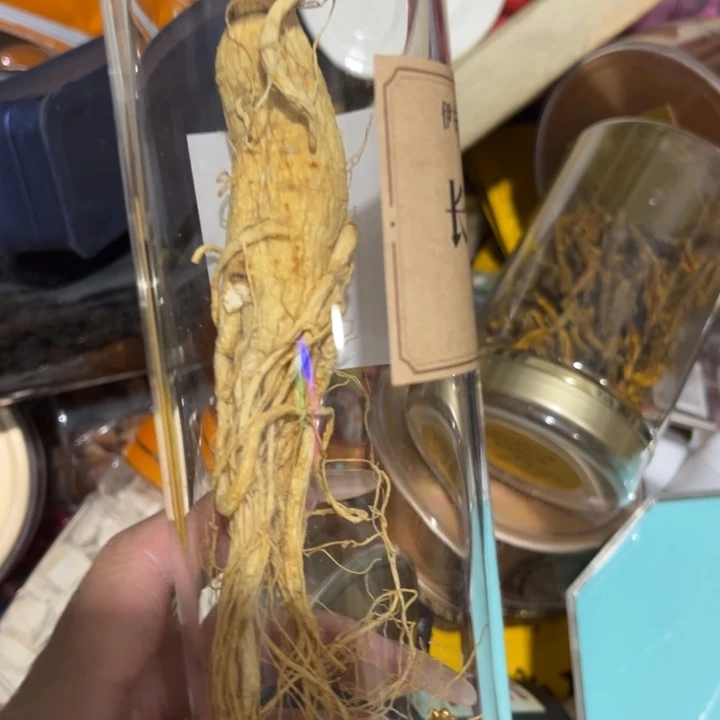 绿泥____________________________