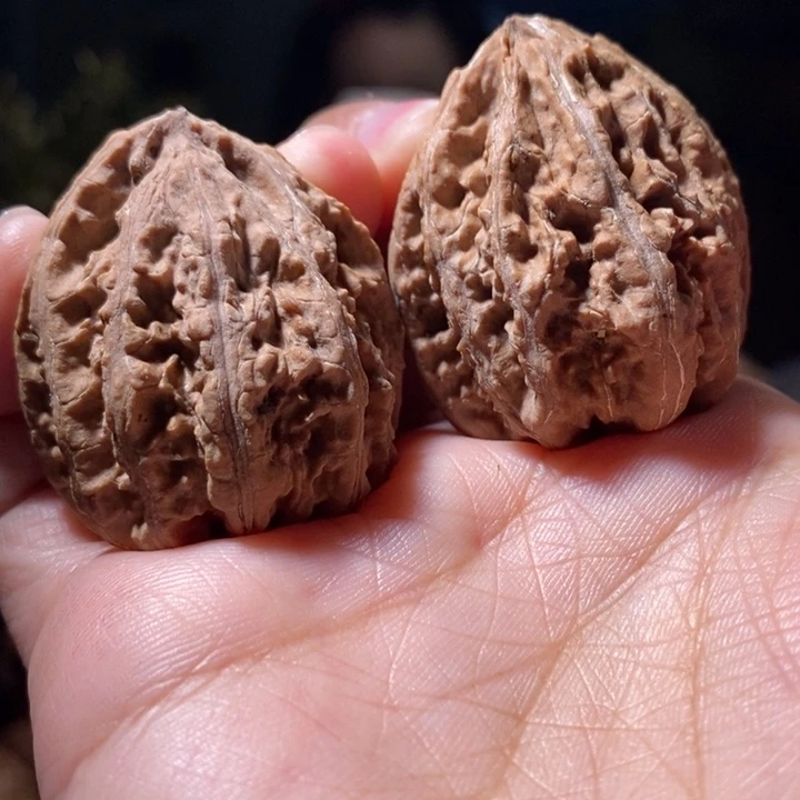 把件文玩核桃东北楸子小路 500