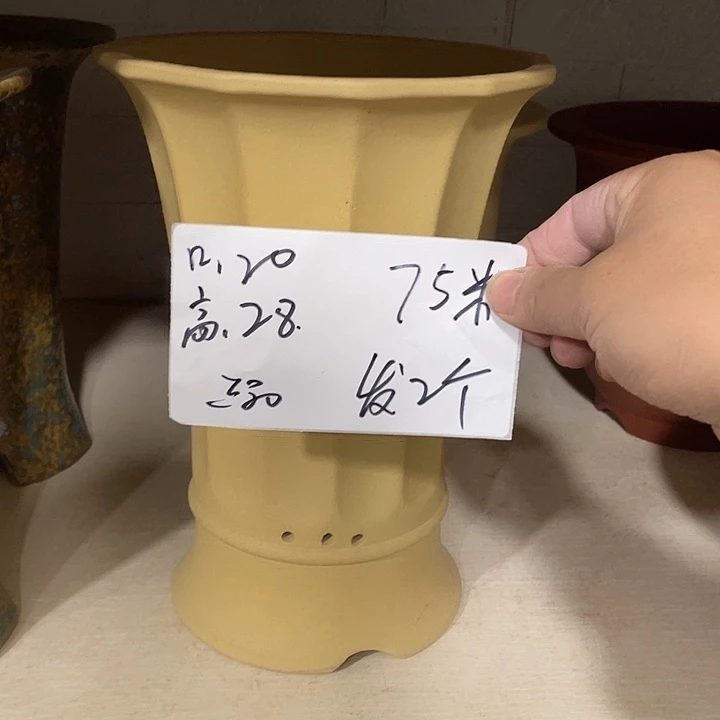 宜兴丁山张伟花盆