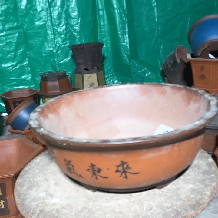大红花盆花盆花盆