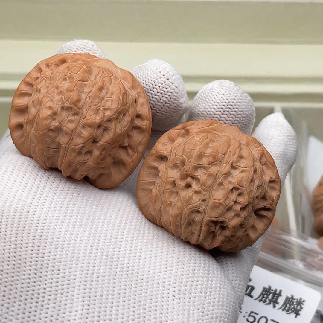 核桃5070全品血麒麟