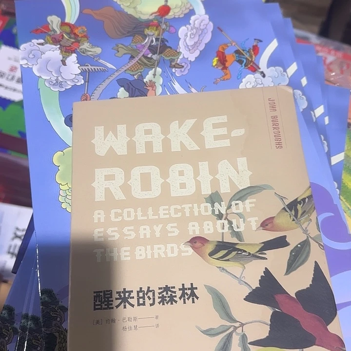 福利绝美醒来的森林