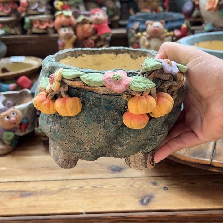 爱***傻嘻哈多肉花盆百搭