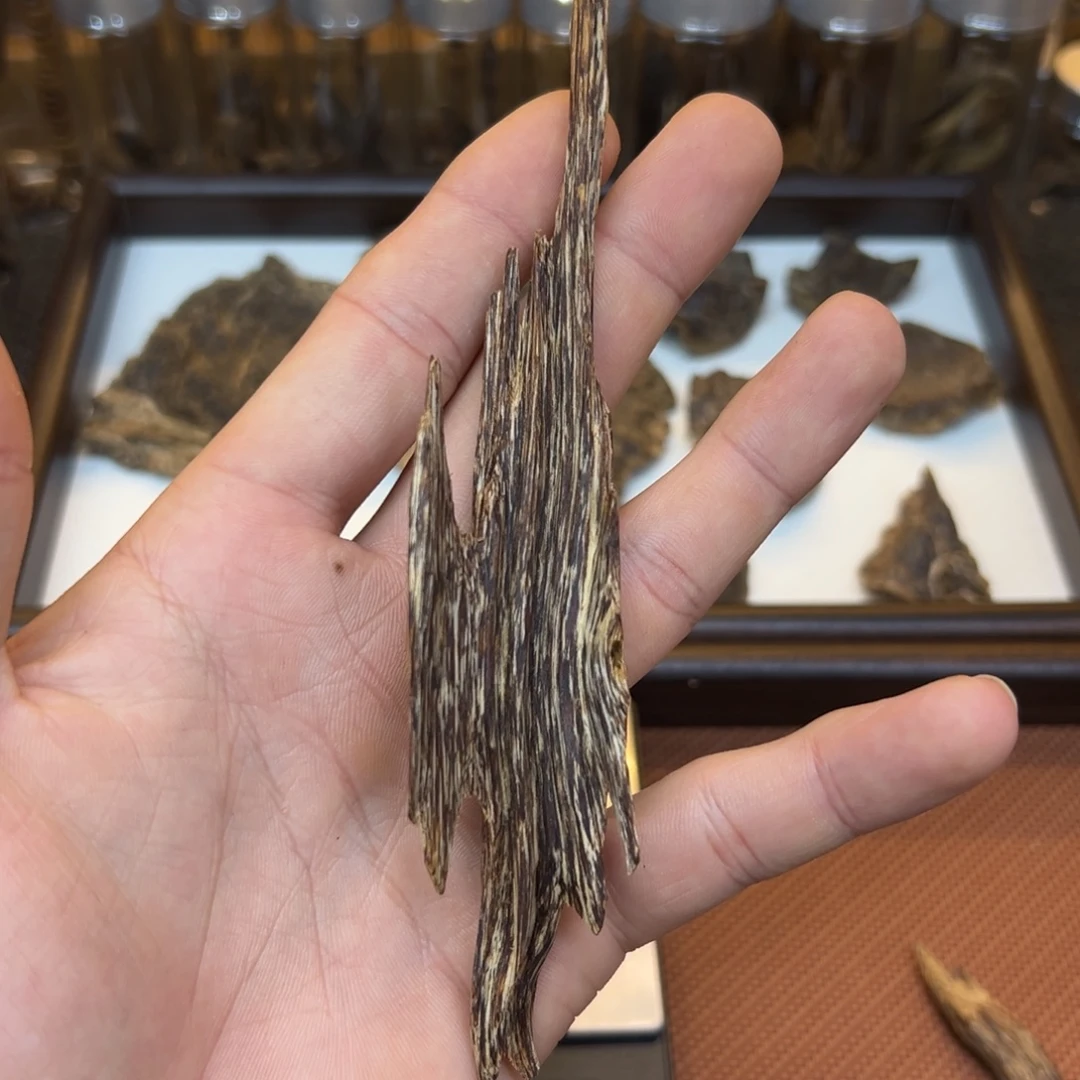 柬埔寨树心油8.24g