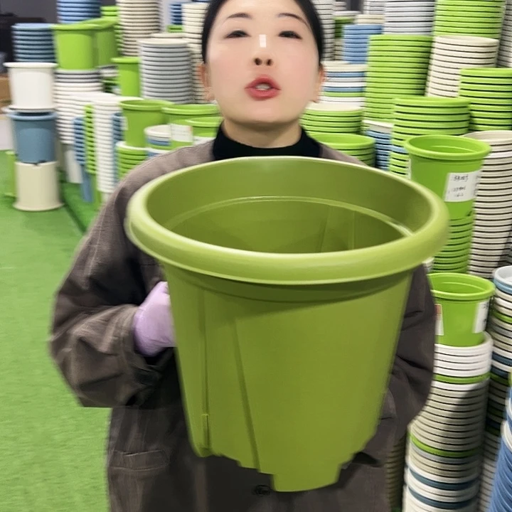 清仓青山口32高28果绿5只无托