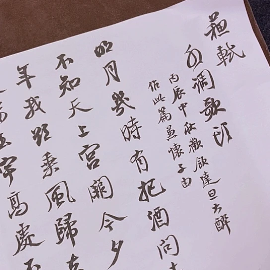 书法张建东老师书法作品