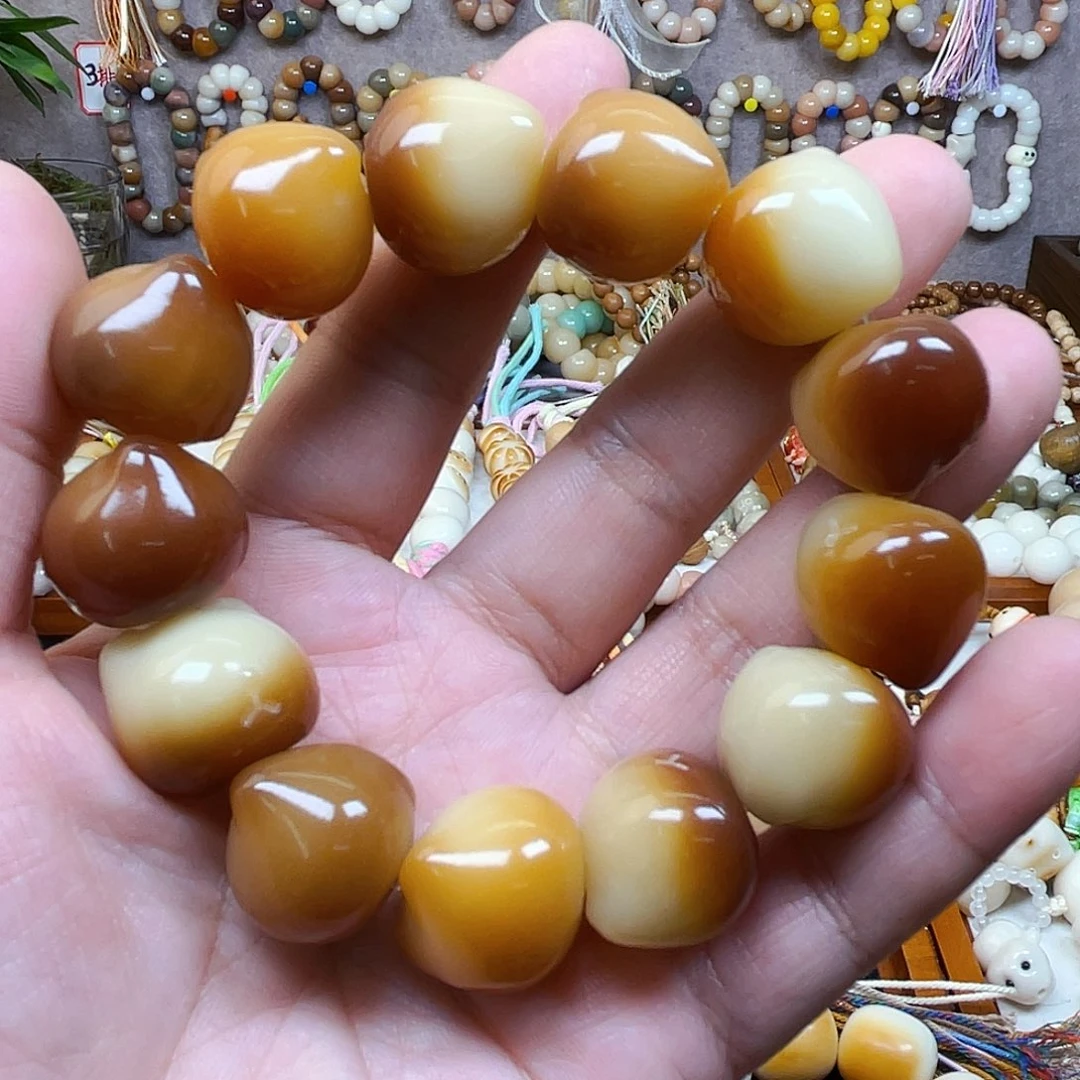 手串菩提根/象牙果