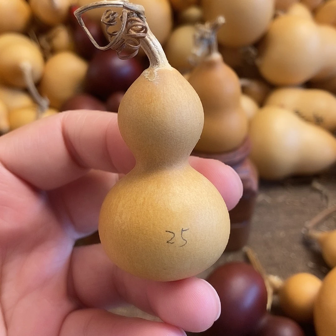 文玩葫芦 完美主义者 慎拍25