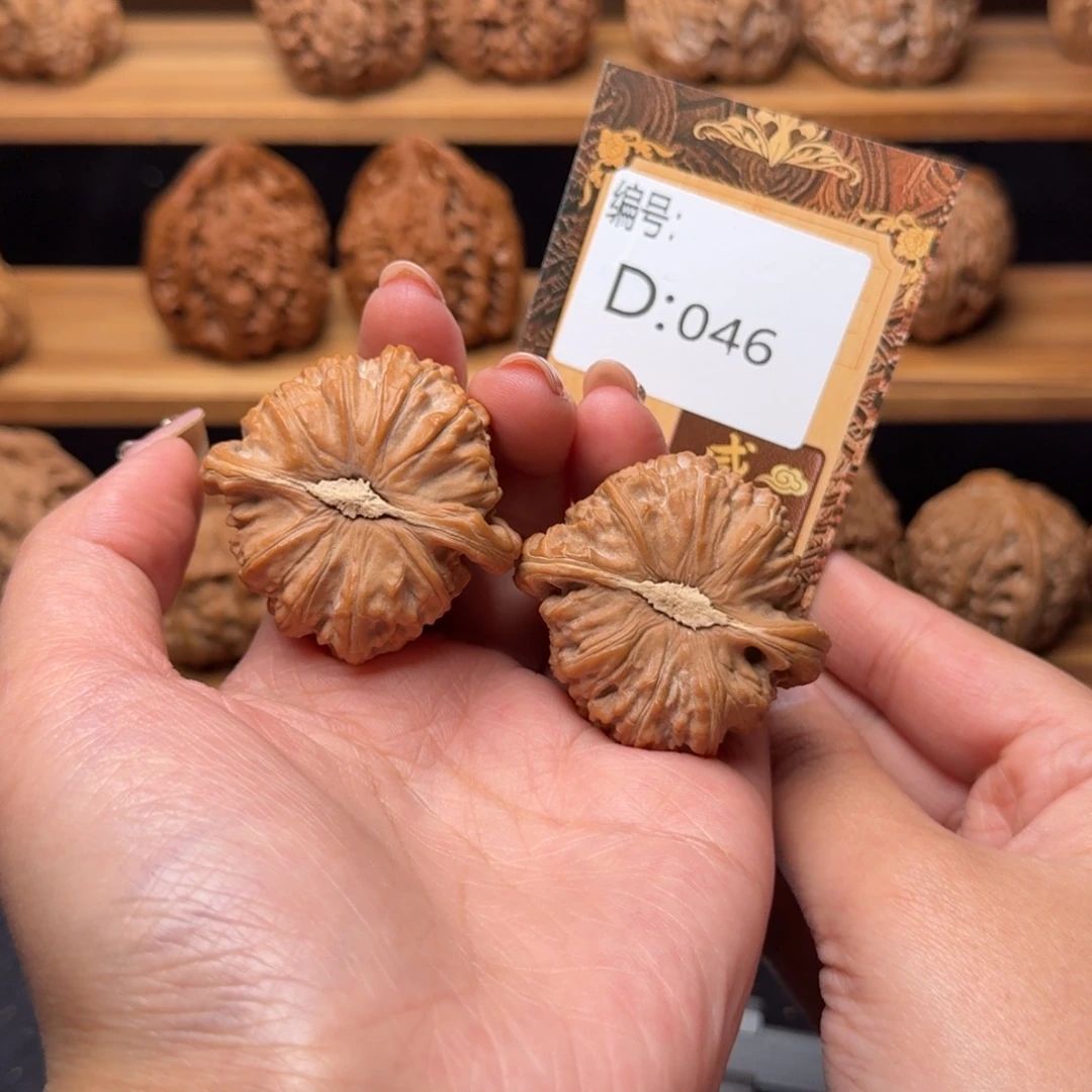 核桃d046白狮子4.2