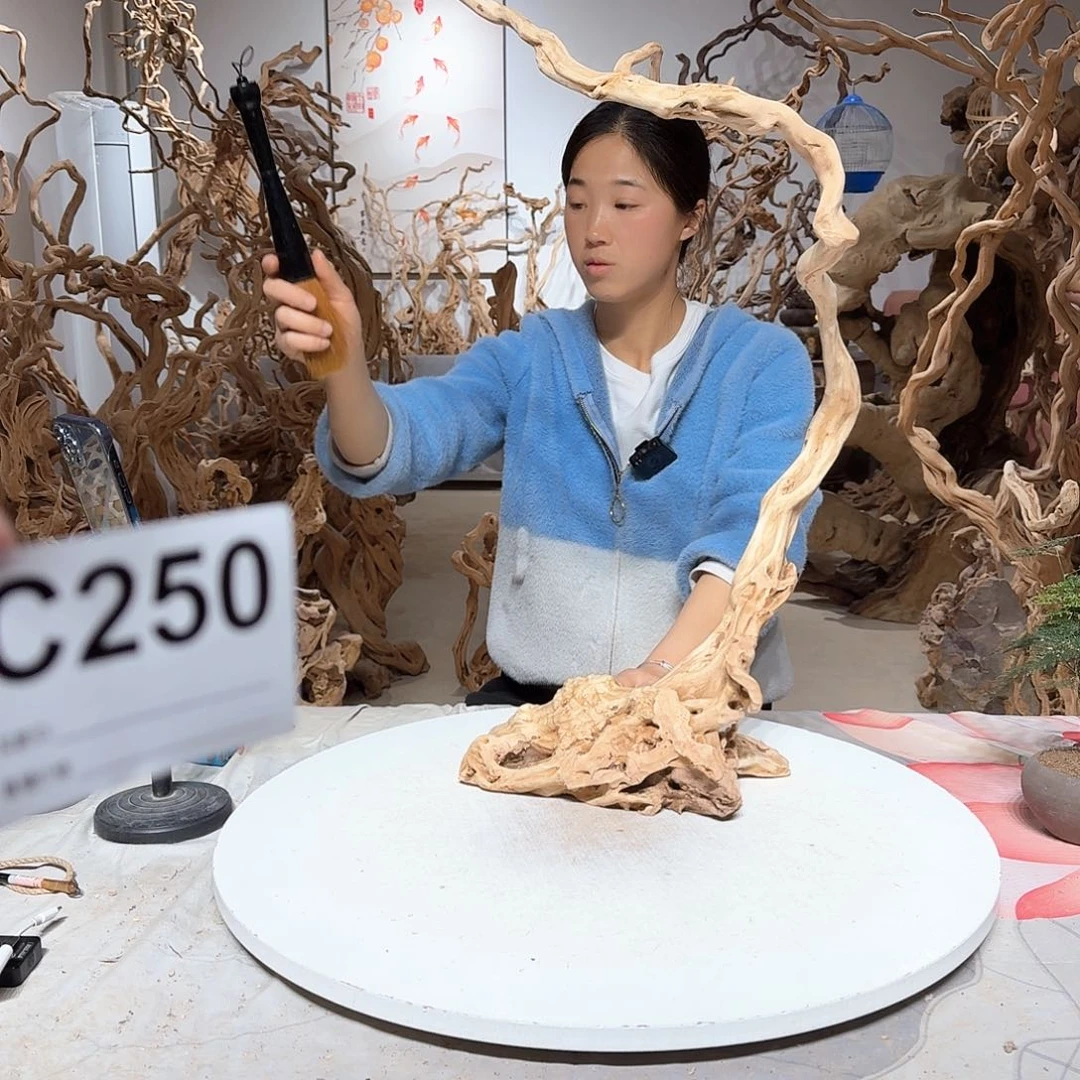 风车木（黑檀木）y*