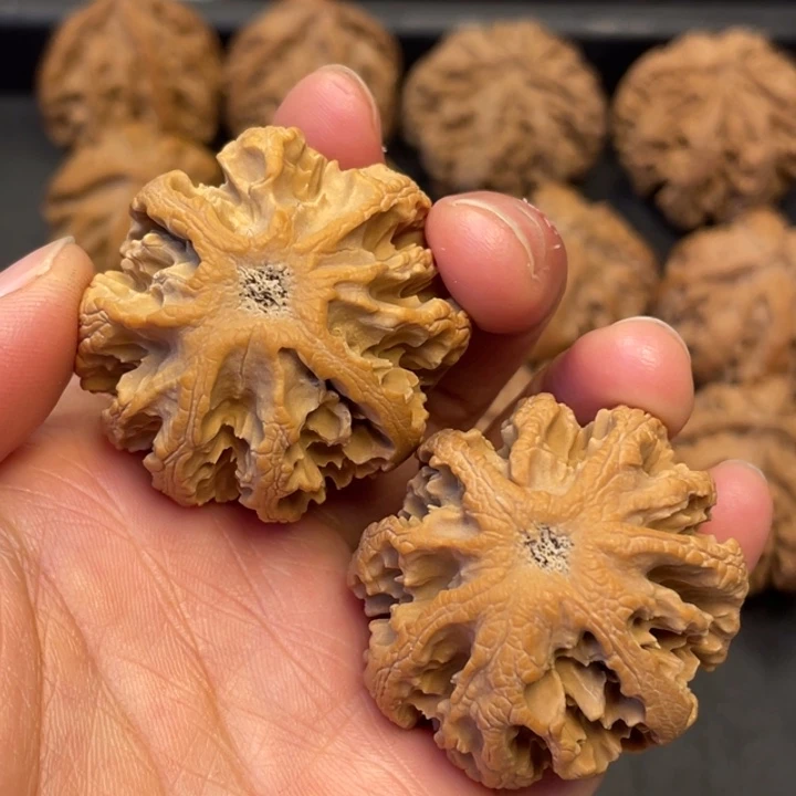 吊坠文玩核桃突突突突突突突突突