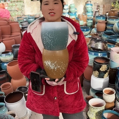 口16高20盆子盆子