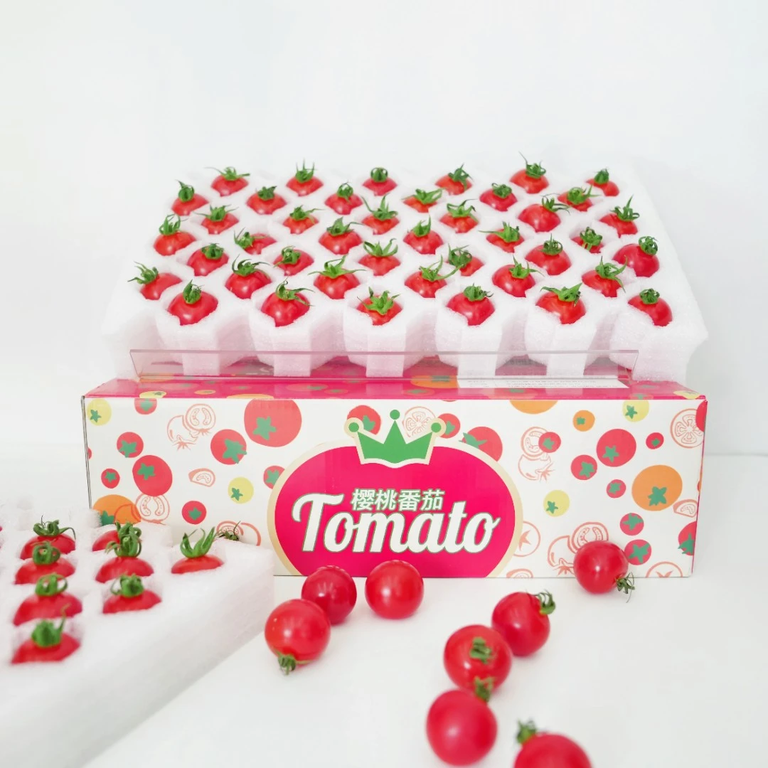 【纯之美】泡泡守护番茄1kg礼盒小番茄自然多汁甄选爽口好吃