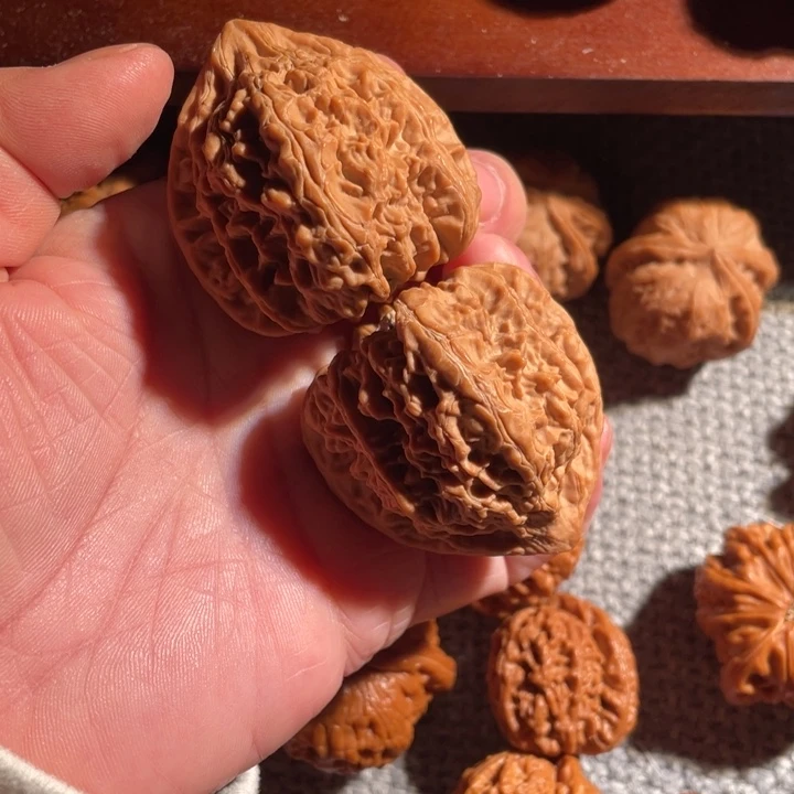 核桃承德火焰马蹄全品