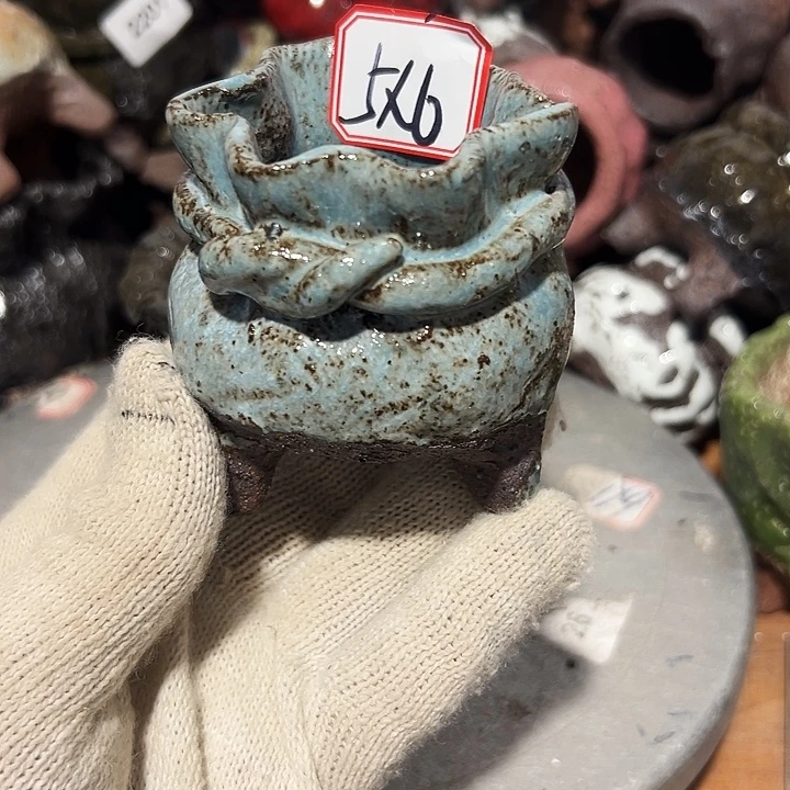 粗陶花盆，然后呢，现在的