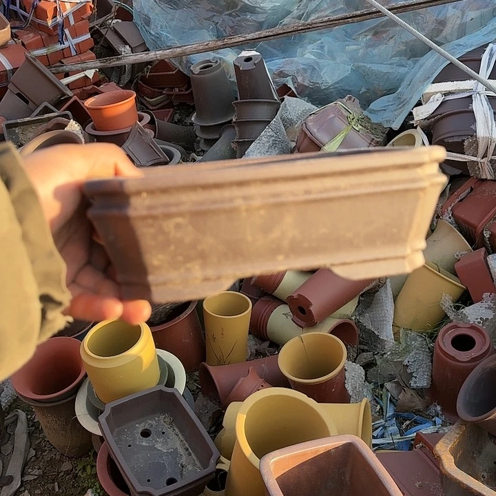 我想说我们也没见他说他有男朋友吗他