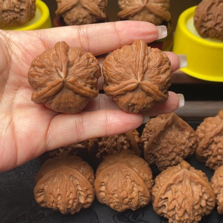 小****核桃全品无修元宝奔奔